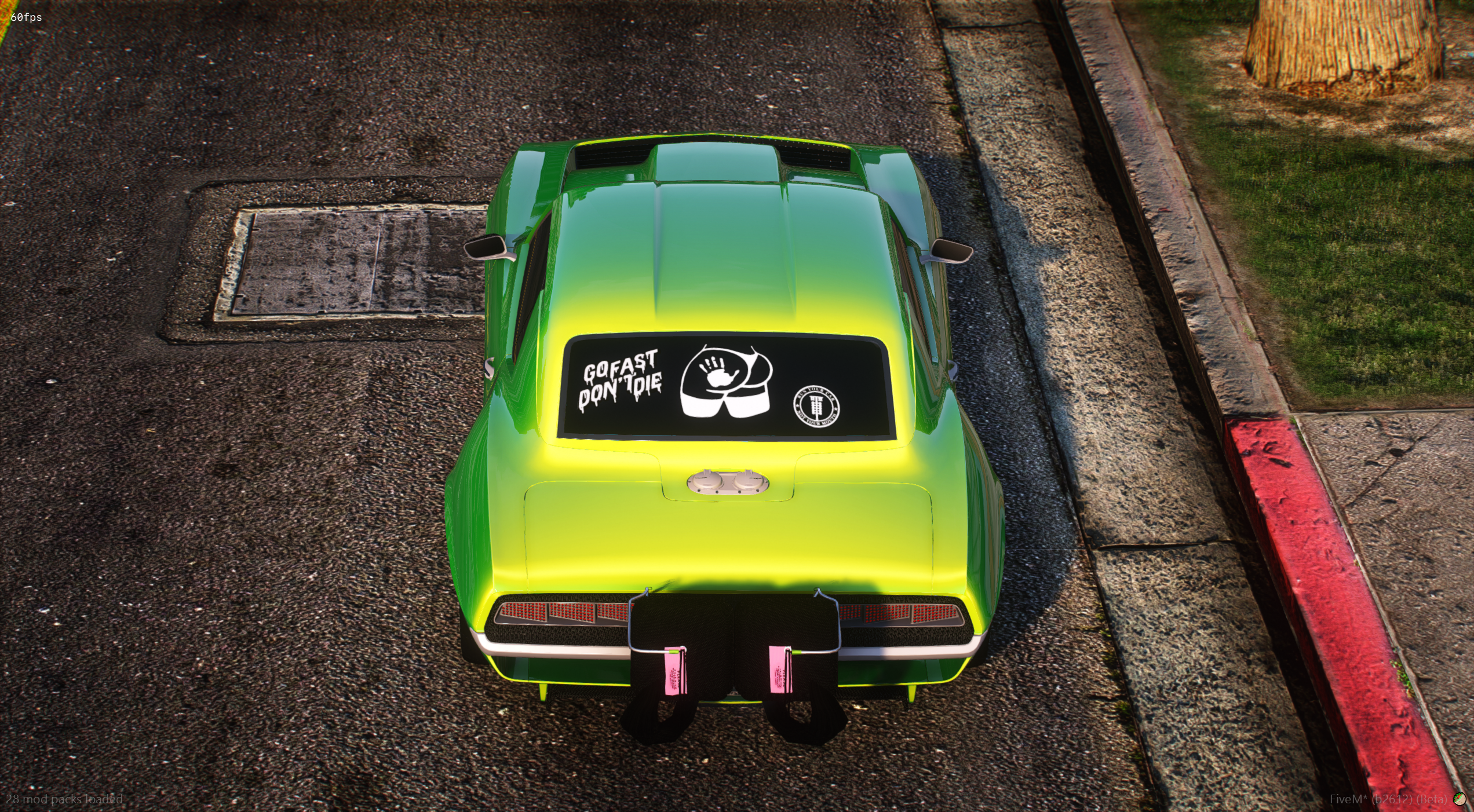 204s 69 Marrow - TOS COMPLIANT 5