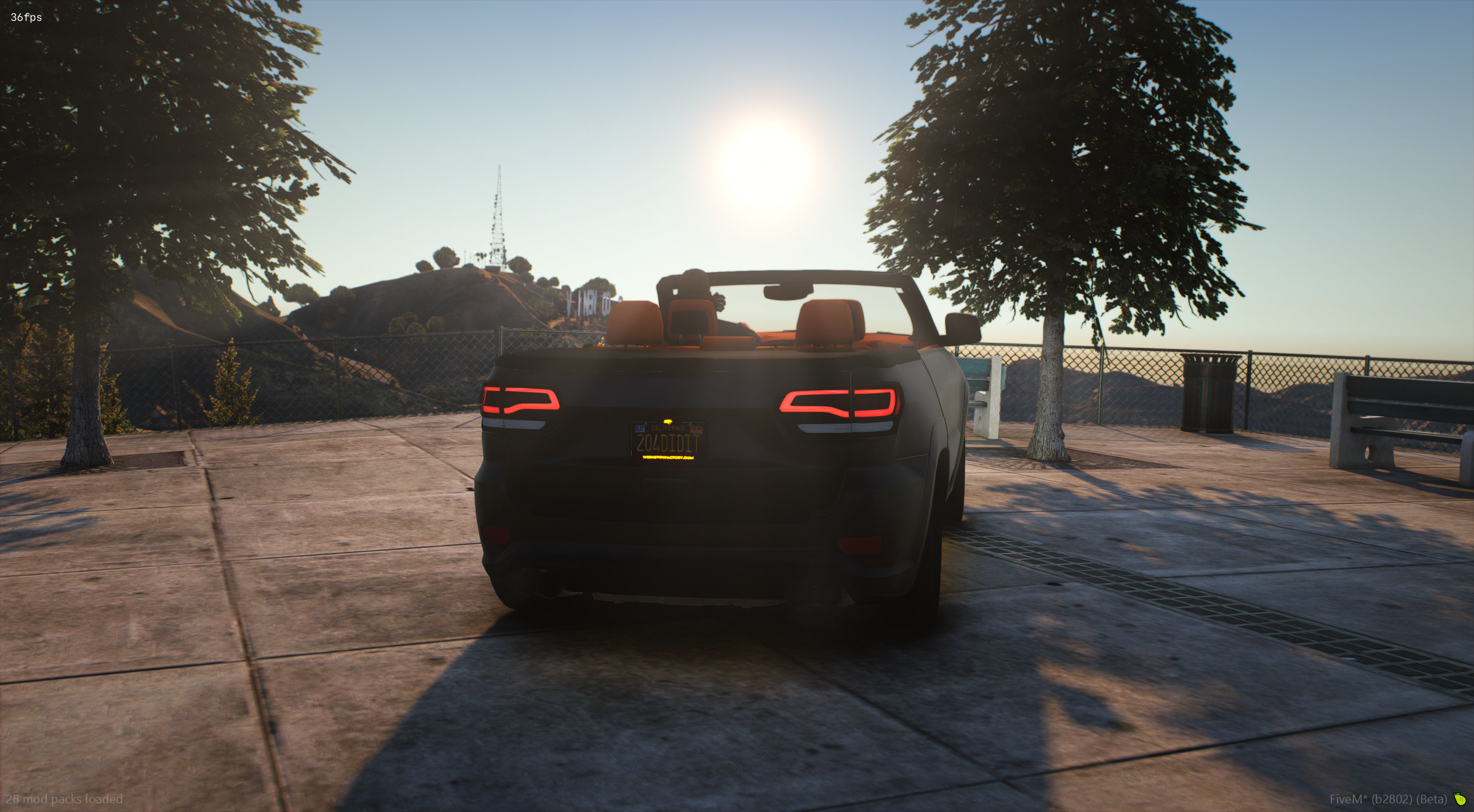 204s Drop Top Bird - TOS COMPLIANT 3