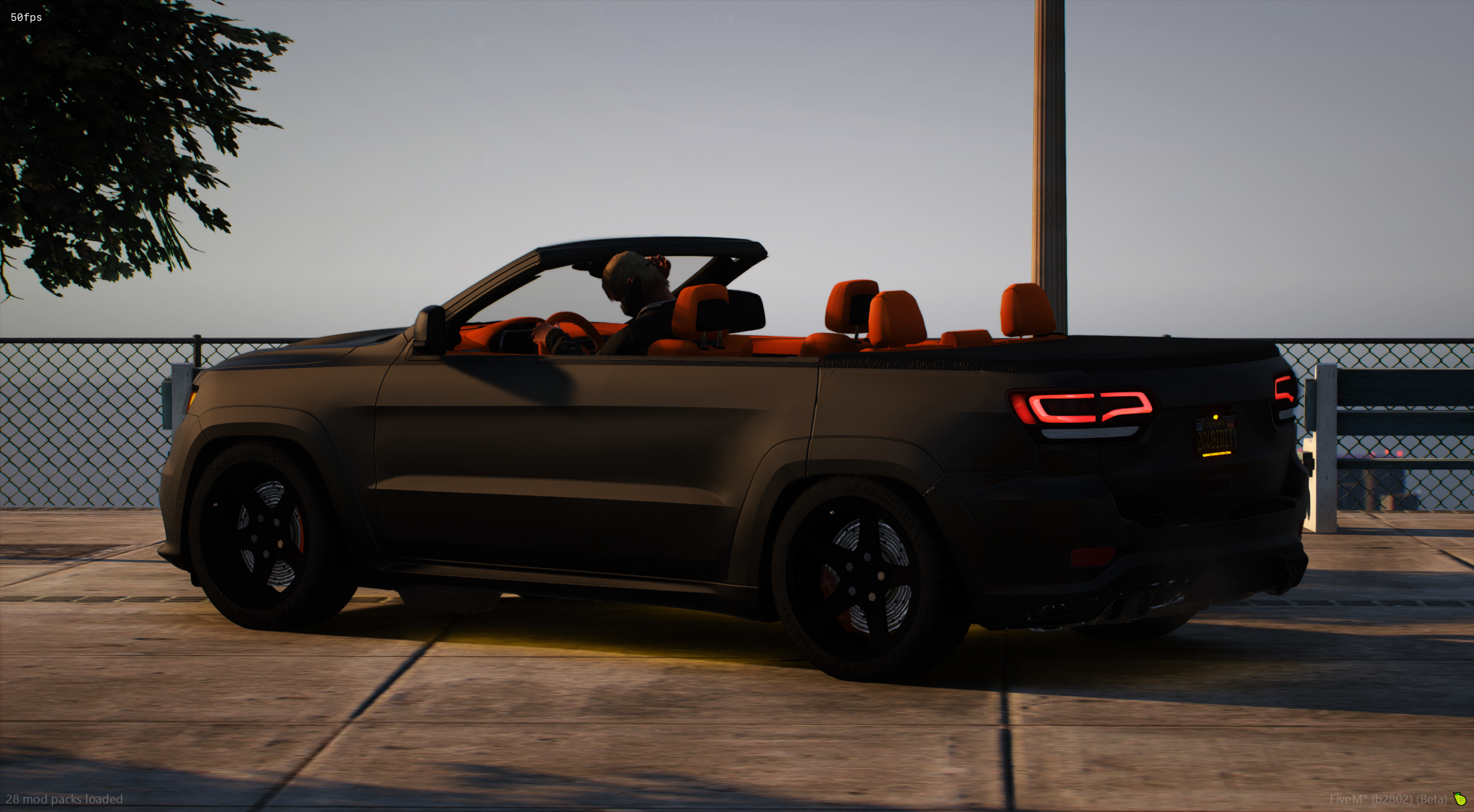 204s Drop Top Bird - TOS COMPLIANT 4