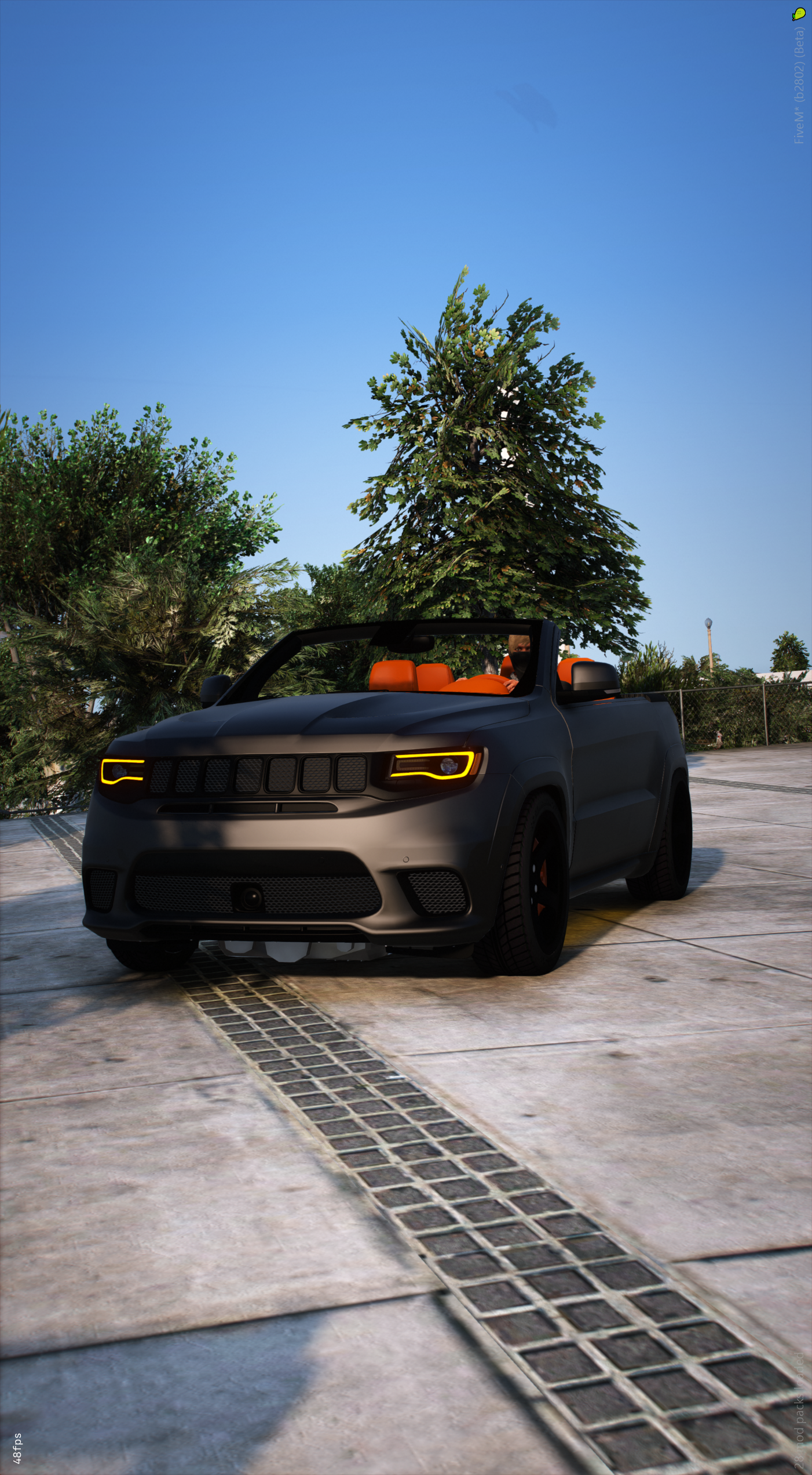 204s Drop Top Bird - TOS COMPLIANT 5