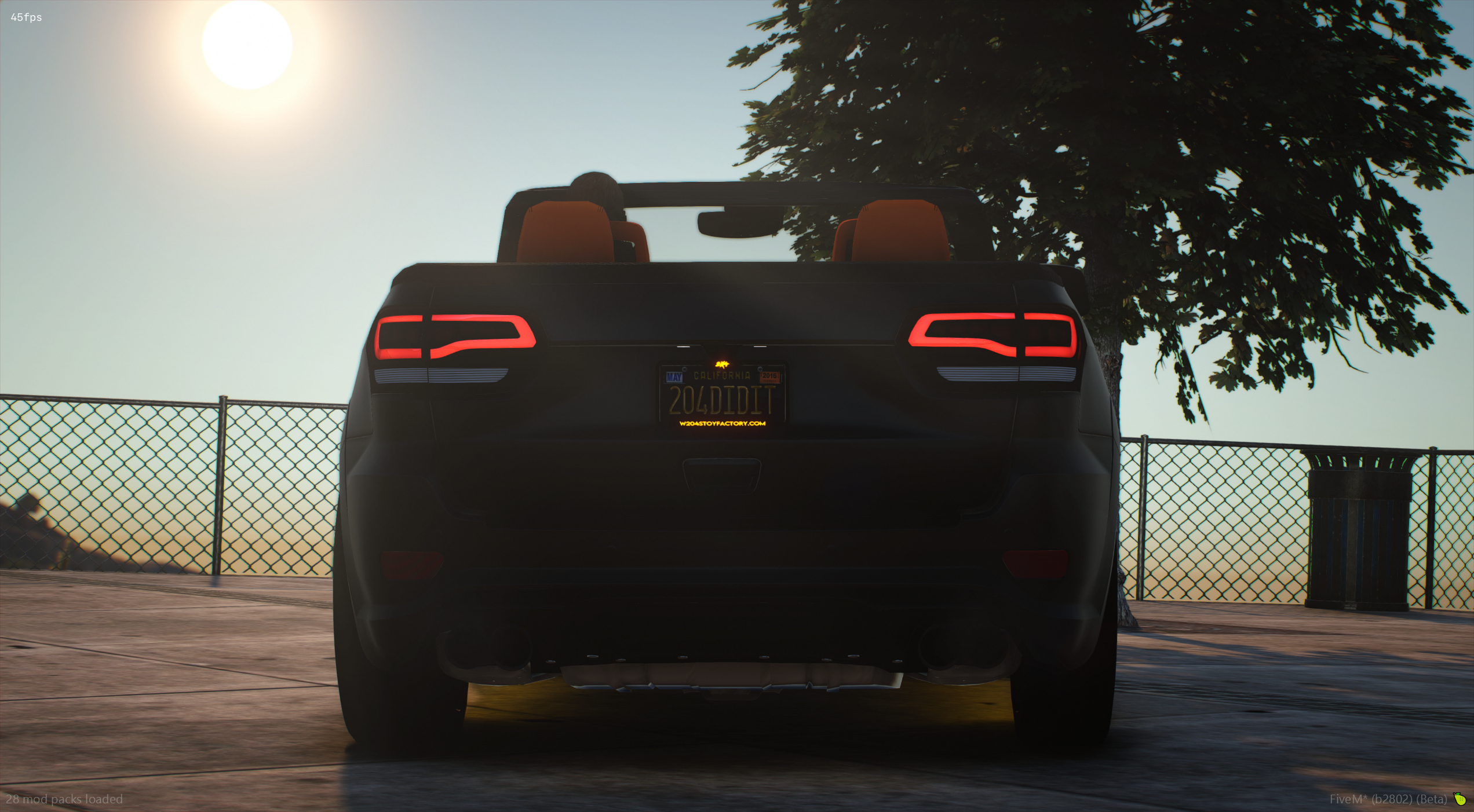 204s Drop Top Bird - TOS COMPLIANT 6