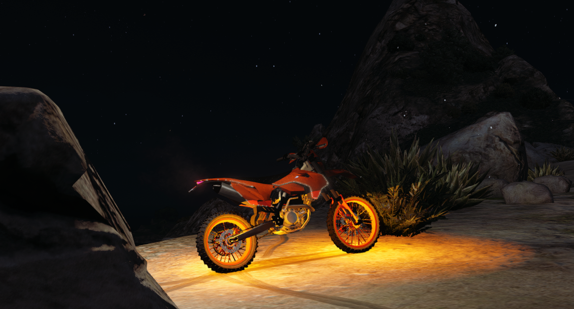 Old Man 204's Dirt Bike 5